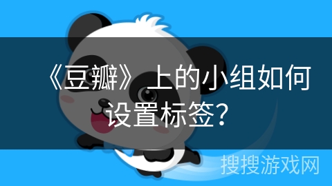 《豆瓣》上的小组如何设置标签？