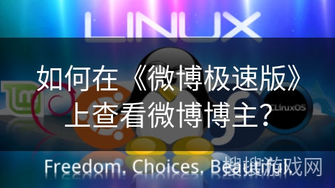如何在《微博极速版》上查看微博博主？