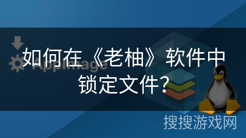 如何在《老柚》软件中锁定文件？