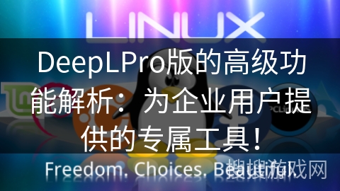 DeepLPro版的高级功能解析：为企业用户提供的专属工具！