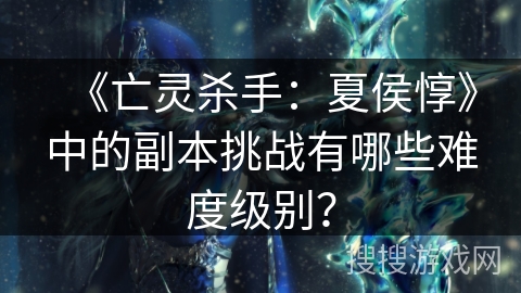 《亡灵杀手：夏侯惇》中的副本挑战有哪些难度级别？
