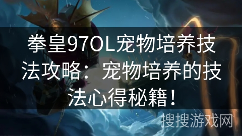 拳皇97OL宠物培养技法攻略：宠物培养的技法心得秘籍！