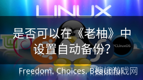 是否可以在《老柚》中设置自动备份？