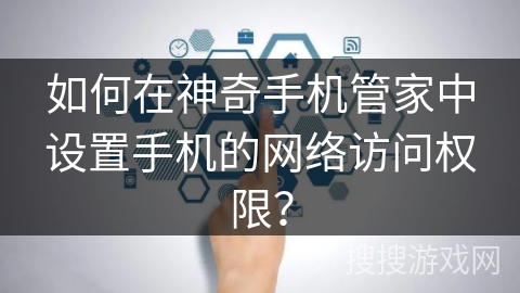 如何在神奇手机管家中设置手机的网络访问权限？