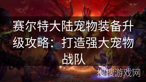 赛尔特大陆宠物装备升级攻略：打造强大宠物战队