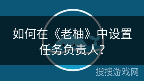 如何在《老柚》中设置任务负责人？