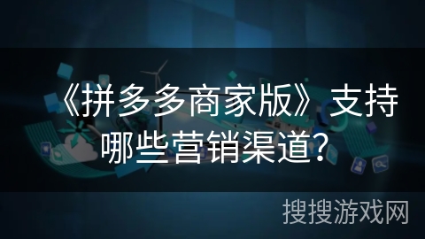 《拼多多商家版》支持哪些营销渠道？
