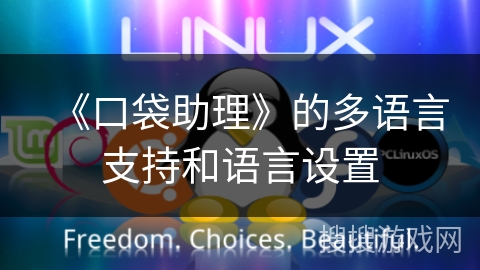 《口袋助理》的多语言支持和语言设置