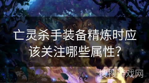 亡灵杀手装备精炼时应该关注哪些属性? 亡灵杀手装备精炼时应该关注哪些属性?