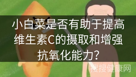 小白菜是否有助于提高维生素C的摄取和增强抗氧化能力？