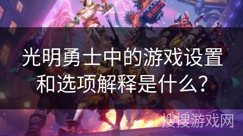 光明勇士中的游戏设置和选项解释是什么？