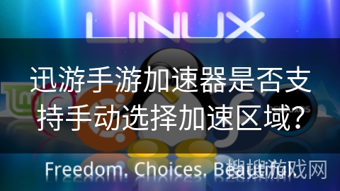 迅游手游加速器是否支持手动选择加速区域？