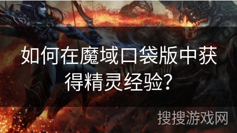 如何在魔域口袋版中获得精灵经验？