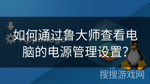 如何通过鲁大师查看电脑的电源管理设置？