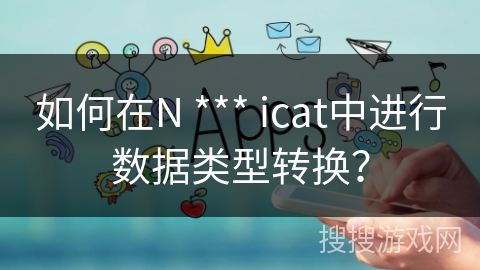 如何在N *** icat中进行数据类型转换？