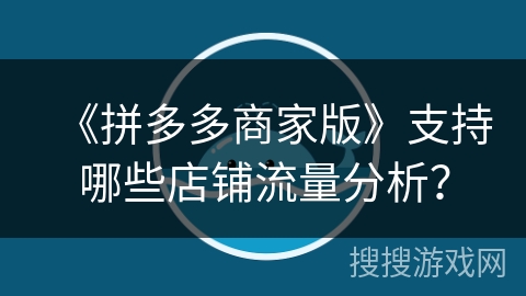 《拼多多商家版》支持哪些店铺流量分析? 《拼多多商家版》支持哪些店铺流量分析?