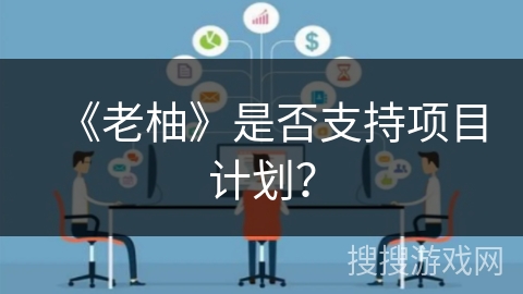 《老柚》是否支持项目计划？