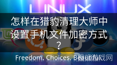 怎样在猎豹清理大师中设置手机文件加密方式？