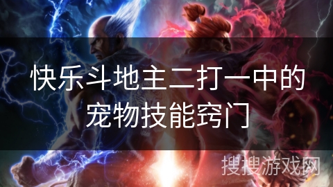 快乐斗地主二打一中的宠物技能窍门