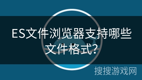 ES文件浏览器支持哪些文件格式？
