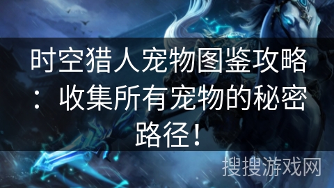 时空猎人宠物图鉴攻略：收集所有宠物的秘密路径！
