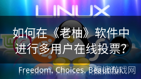 如何在《老柚》软件中进行多用户在线投票？