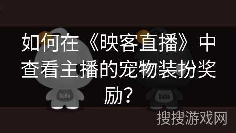 如何在《映客直播》中查看主播的宠物装扮奖励？
