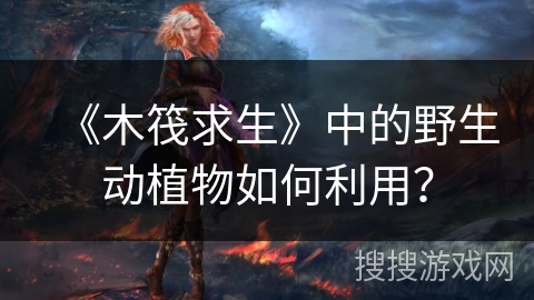 《木筏求生》中的野生动植物如何利用？