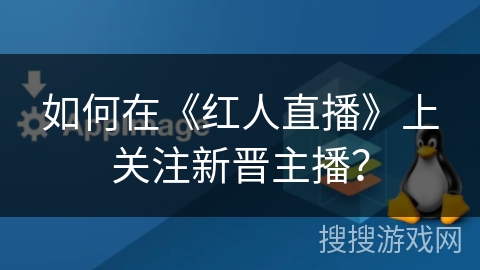 如何在《红人直播》上关注新晋主播？
