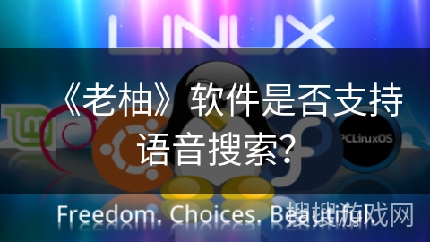 《老柚》软件是否支持语音搜索？