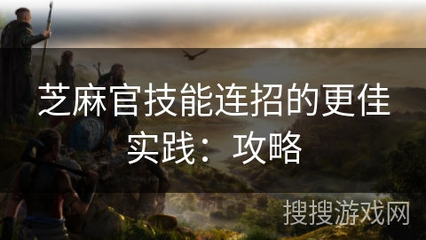 芝麻官技能连招的更佳实践：攻略