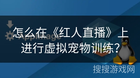 怎么在《红人直播》上进行虚拟宠物训练？