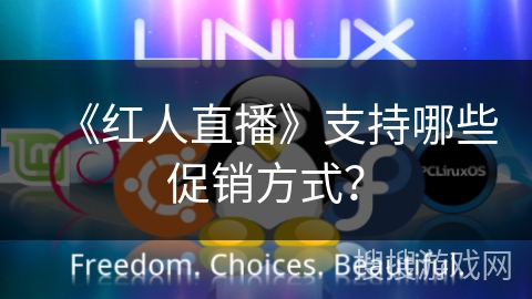 《红人直播》支持哪些促销方式？