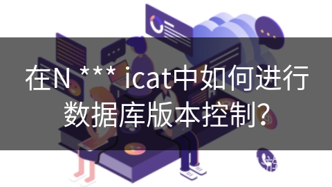 在N *** icat中如何进行数据库版本控制？