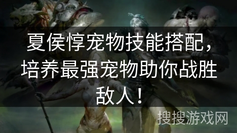 夏侯惇宠物技能搭配，培养最强宠物助你战胜敌人！