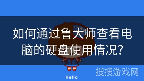 如何通过鲁大师查看电脑的硬盘使用情况？