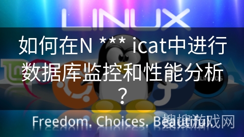 如何在N *** icat中进行数据库监控和性能分析? 如何在N *** icat中进行数据库监控和性能分析?
