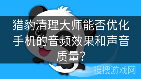 猎豹清理大师能否优化手机的音频效果和声音质量？