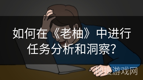 如何在《老柚》中进行任务分析和洞察？