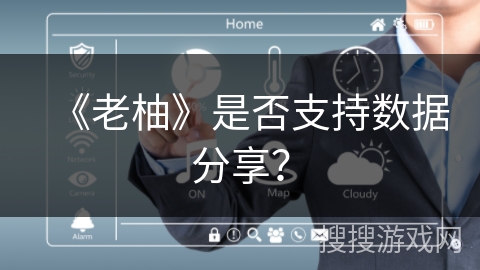 《老柚》是否支持数据分享？