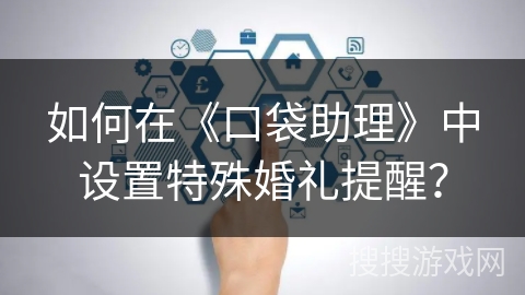 如何在《口袋助理》中设置特殊婚礼提醒？
