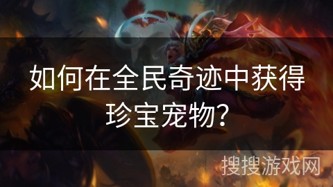 如何在全民奇迹中获得珍宝宠物？