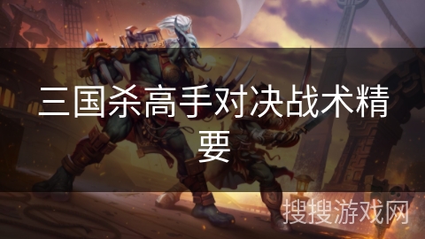 三国杀高手对决战术精要