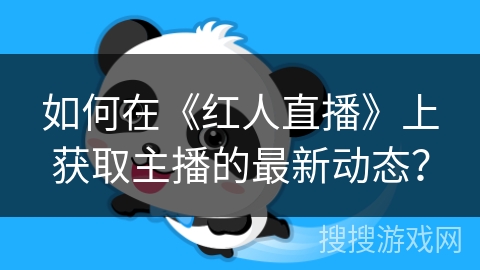 如何在《红人直播》上获取主播的最新动态？