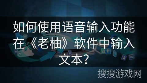 如何使用语音输入功能在《老柚》软件中输入文本？