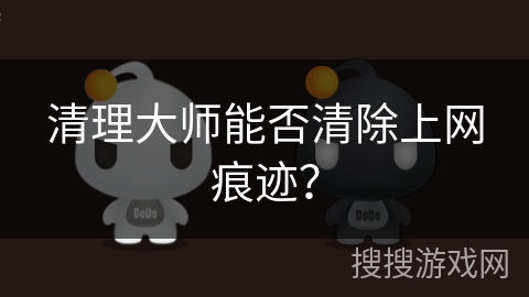 清理大师能否清除上网痕迹？