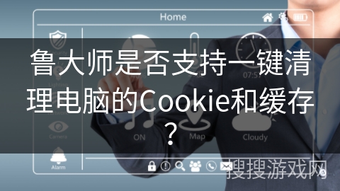 鲁大师是否支持一键清理电脑的Cookie和缓存？