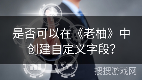 是否可以在《老柚》中创建自定义字段？