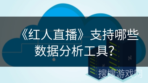 《红人直播》支持哪些数据分析工具？