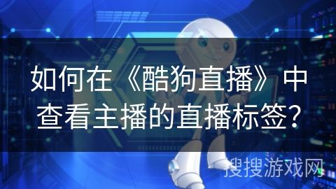 如何在《酷狗直播》中查看主播的直播标签？